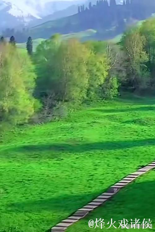 探索青青草原频道的无限精彩旅程